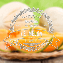 Melon - VDLV