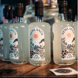 GIN BIOLOGIQUE NEWLANDS