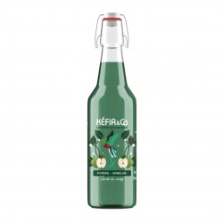 KEFIR POMME SPIRULINE BIO