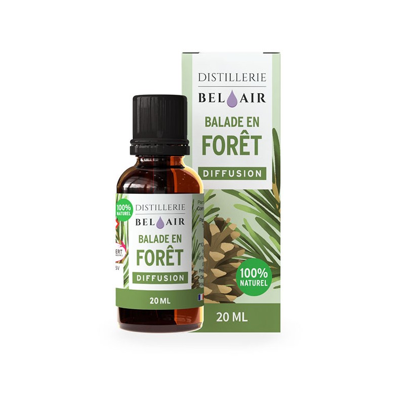 DIFFUSION BALADE EN FORET DIFFUSION BALADE EN FORET
