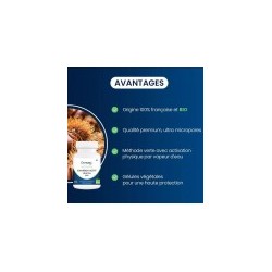 CHARBON VEGETAL ACTIF BIO