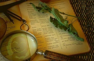 CBD et cannabinoïdes : des bienfaits déjà prouvés ?